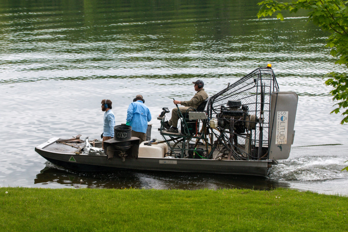 Milfoil Treatment Thursday 6/9