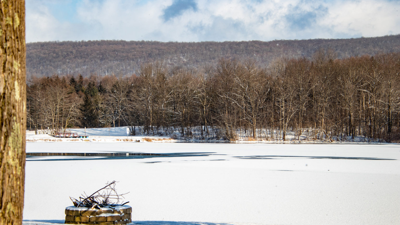 Little York Lake Preservation Society A Little Lake Worth Saving